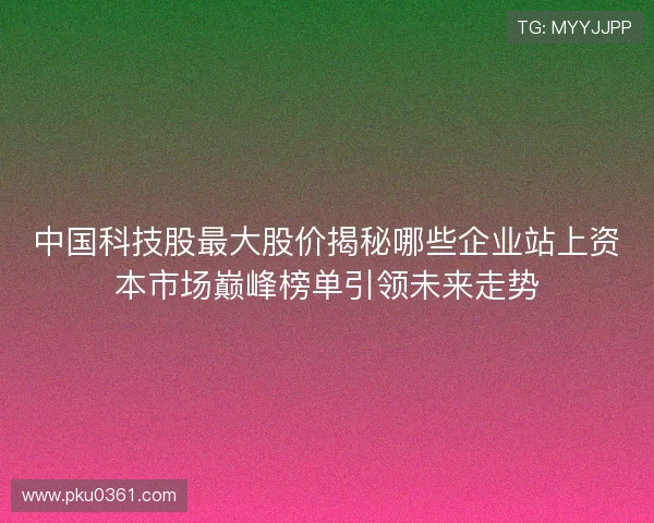 中国科技股最大股价揭秘哪些企业站上资本市场巅峰榜单引领未来走势